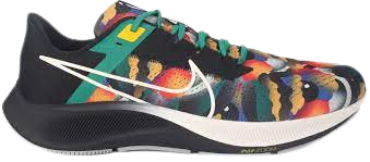 NIKE PEGASUS 38 Jordan Mass