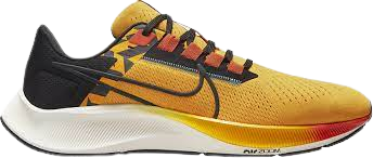 NIKE PEGASUS 38 Ekkiden Pack